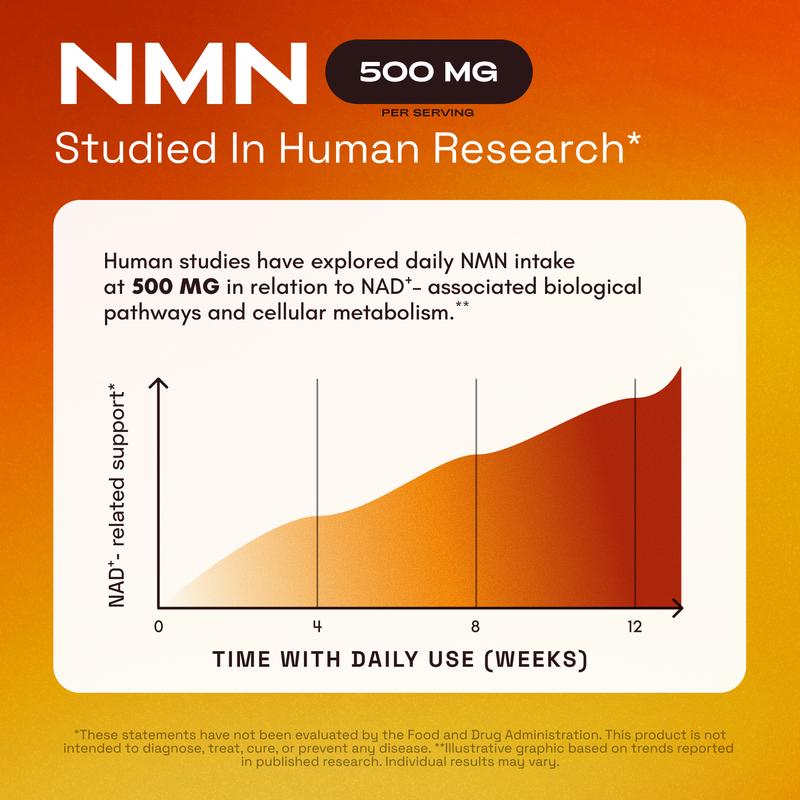 Alodi NMN 1000mg — Premium Daily Wellness Capsules