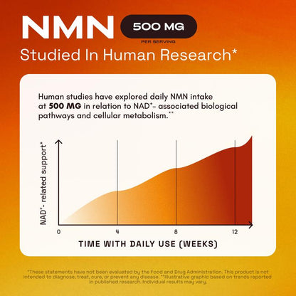 Alodi NMN 1000mg — Premium Daily Wellness Capsules